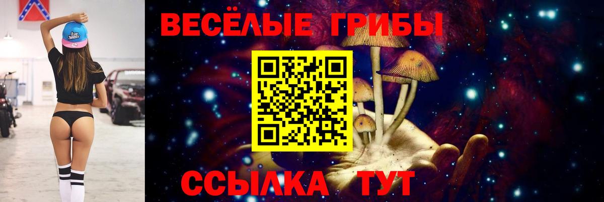 Псилоцибиновые грибы GOLDEN TEACHER Клин
